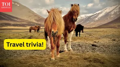 Travel Trivia: 10 Countries Famous for What They Don’t Have