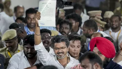 TVK Shocks DMK in Chennai: Vijay Wins 32 Seats in 2026 TN Polls