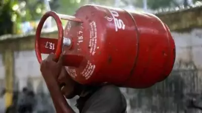 Two Friends Steal LPG Cylinders to Fund Booze, Arrested in Bhopal