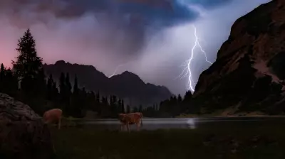 Two People and Cows Killed in Lightning Strike in Mysuru Region