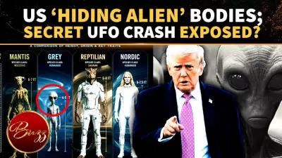 UFO Insider Claims US Recovered Remains of 4 Alien Species, Sparks Online Frenzy