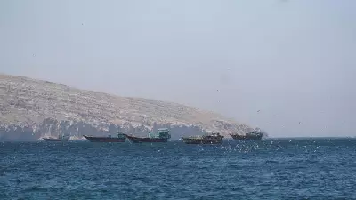 US Sinks Iranian Boats, Downs Missiles and Drones in Strait of Hormuz