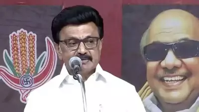 VCK and IUML Join TVK, Boosting Alliance Tally to 120 Seats