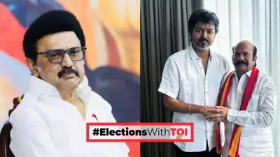 Vijay's TVK Shocks Tamil Nadu: VS Babu Defeats CM Stalin in Kolathur