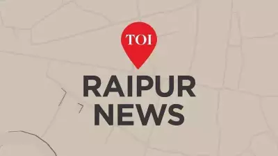 Villager Trampled to Death by Elephant in Chhattisgarh Forest