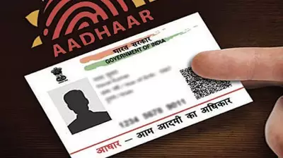 Voter ID, Aadhaar Cards Found at Abandoned TMC Office in Kolkata