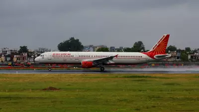 When Private Is Not Always Better: The Air India Story