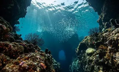 Why All Five Deepest Ocean Trenches Are in the Pacific