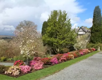 Why Repeating Plants in Garden Borders Creates Harmony and Balance