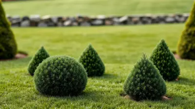 Why Small Evergreen Shrubs Need Space to Thrive in Your Garden