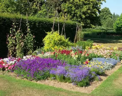 Why Some Sunny Garden Beds Fade While Others Thrive All Summer