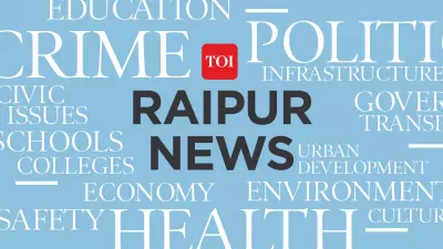 Wild Boar Attack Injures Eight Tendu Leaf Collectors in Chhattisgarh