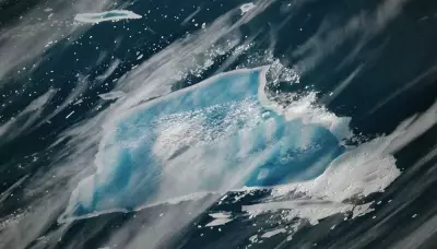 World's Largest Iceberg A-23A Turns Stunning Blue as It Melts Rapidly