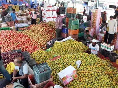 WPI Inflation May Rise Further on High Oil, Metal Prices Amid Tensions