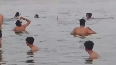 Youth Booked for Drinking Beer While Bathing in Ganga, Video Viral