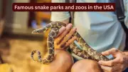 10 Famous Snake Parks and Zoos in the USA Every Wildlife Traveller Must Visit