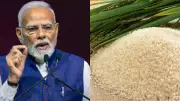 10 Traditional Indian Foods PM Modi Gifted World Leaders During 5-Nation Tour