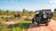 10 Underrated Wildlife Destinations in Asia for Peaceful Safaris on a Budget