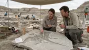 150-Million-Year-Old Soft Tissue Fossil Validates Darwin's Evolution Theory