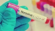 1700+ Quarantined on Cruise Ship After Norovirus Death in France