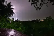 30 Sheep Killed in Lightning Strike in Nagarkurnool, Shepherd Escapes