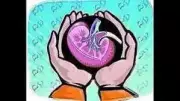 47-Year-Old Man's Organ Donation Saves Five Lives in Madurai
