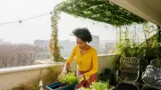 5 AM Morning Affirmations to Shape Your Day: Transform Your Mindset
