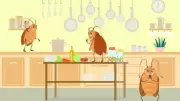 5 Effective Hacks to Keep Cockroaches Away from Your Kitchen Permanently