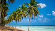 5 Indian Destinations Rivaling Bali and Maldives for Tropical Vibes