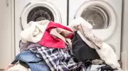 5 Most Common Places Snakes Hide in US Homes You Might Miss