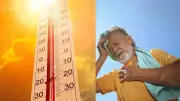 5 Signs Your Heart Is Struggling in Extreme Heatwave Conditions