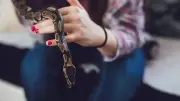 6 Common Mistakes People Make When They Suddenly Spot a Snake