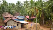 6 Incredible Indian Villages Where Humans and Wildlife Coexist
