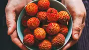 6 Types of Litchi in India and How to Pick the Sweetest One at the Market