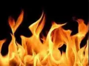 60-year-old farmer dies in fire accident while burning crop residue in Andhra Pradesh