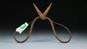600-Year-Old Chinese Surgeon's Tools Reveal Earliest Evidence of Anesthesia