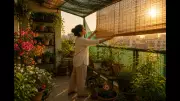 7 Expert Tips to Protect Your Balcony Garden During Indian Heat Waves