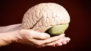 8 Easy Hobbies That Can Slow Brain Aging, According to Science