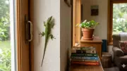 8 Natural Remedies to Keep Lizards Away from Your Apartment This Summer