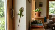 8 Natural Remedies to Keep Lizards Out of Your Apartment This Summer