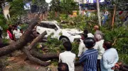 89 Killed in Uttar Pradesh Thunderstorms, Lightning and Strong Winds
