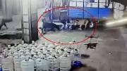 9-Year-Old Boy Suffers 15 Dog Bites in Surat Stray Dog Attack