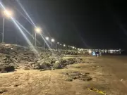 90 Special Streetlight Poles Installed on Gorai Beach in Mumbai
