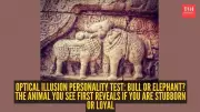 900-Year-Old Chola Sculpture: Bull or Elephant? Personality Test