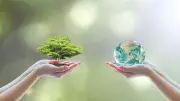 A Pause for Ecological Balance: Editorial Insights