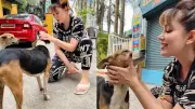 Actress Munmun Dutta Mourns Tragic Loss of Stray Dog She Adored