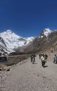 Adi Kailash and Om Parvat yatra sees surge with over 15,000 tourists since May