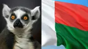 Advanced Tech Revolutionizes Biodiversity Research in Madagascar's Unique Ecosystems