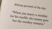 African Proverb: When You Marry a Monkey for Wealth, Money Goes but Monkey Remains
