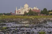 Agra Dust Storm Kills 3, Injures Several; Trees Uprooted, Power Hit